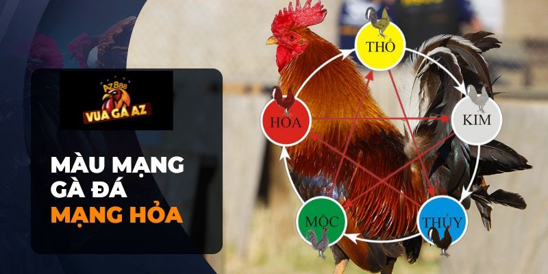 Màu mạng gà đá mệnh hỏa