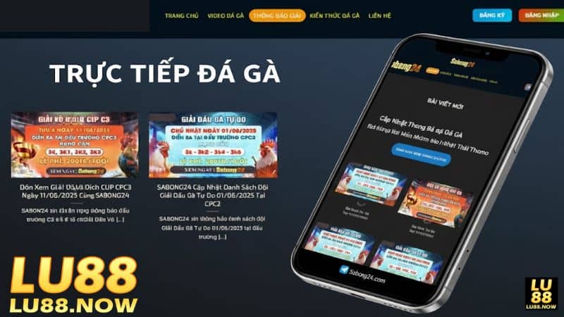 Nền tảng luôn cập những đầy đủ những thông tin quan trọng về trận đấu