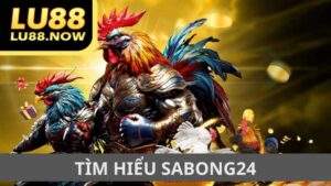 Tìm Hiểu SABONG24